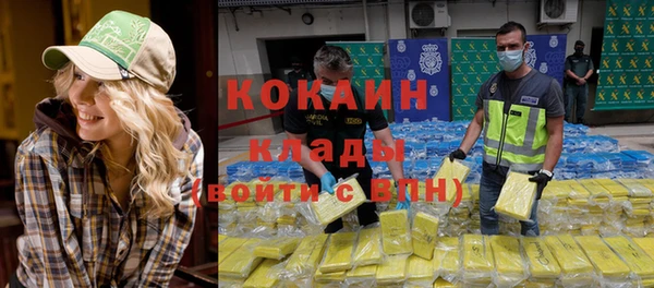 ешки Арсеньев