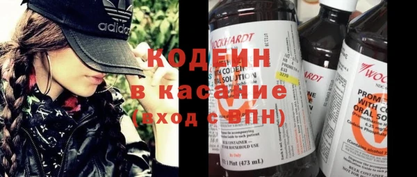 ешки Арсеньев