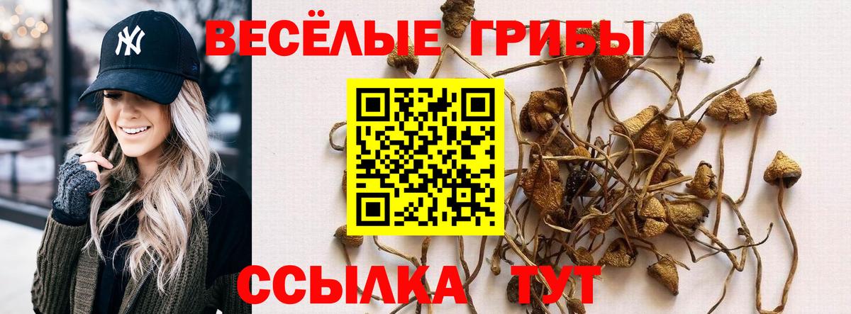 Галлюциногенные грибы Psilocybine cubensis  Псилоцибиновые грибы мицелий  Белорецк  Вход с VPN 